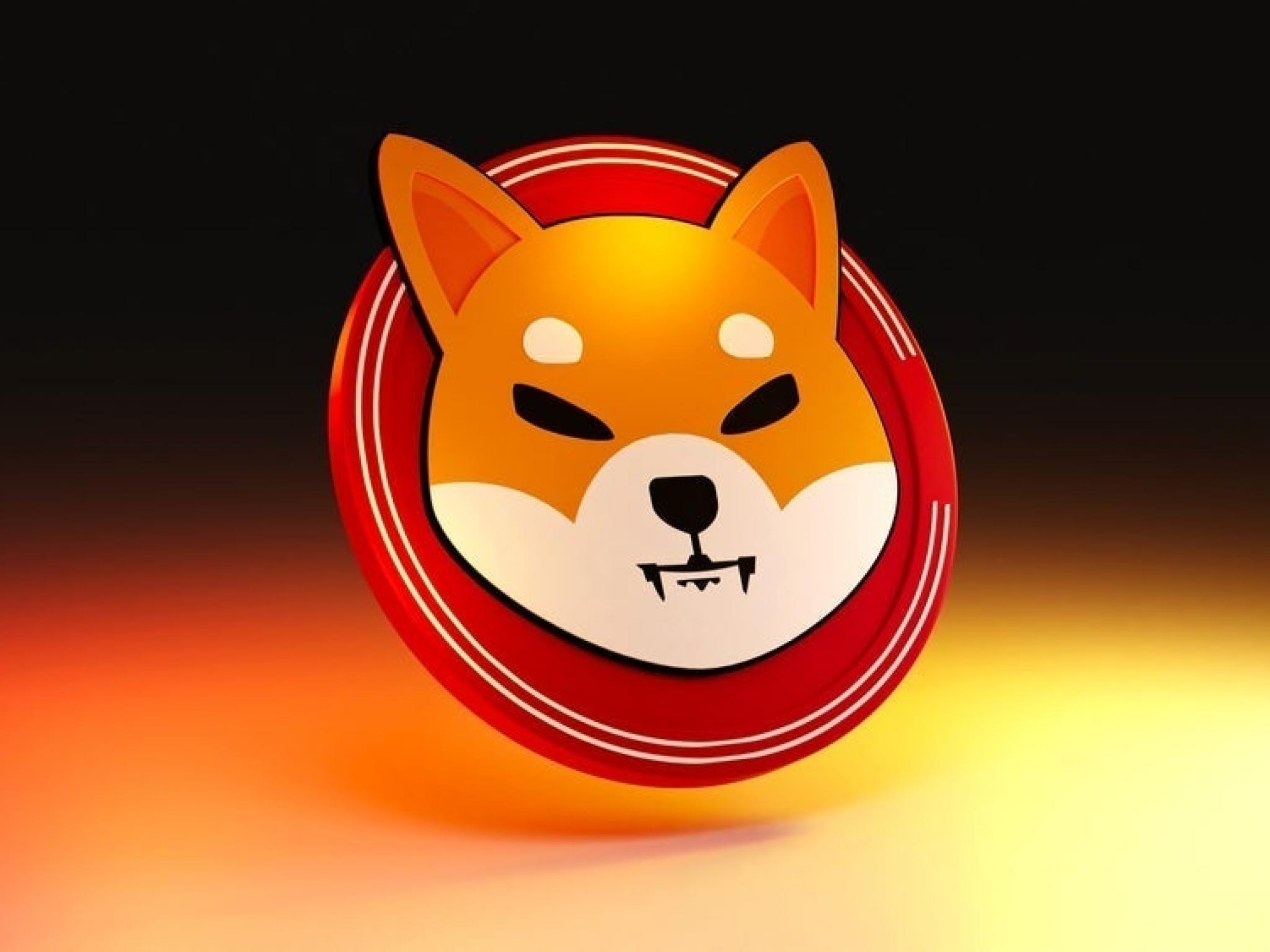 ‘Dogecoin Killer’ Shiba Inu Has Not Burned Tokens In 2 Days: What Is Going On?