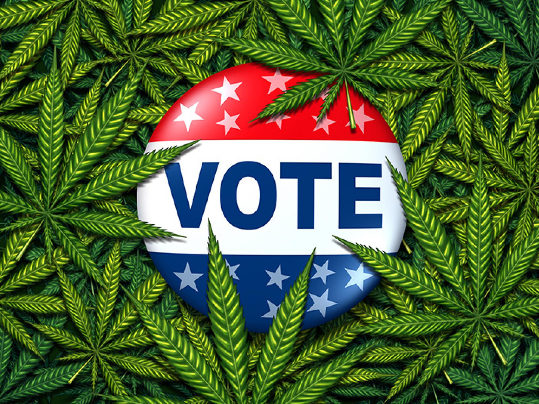 Election Day 2024: Will Florida, Nebraska, North And South Dakota Join The Marijuana Revolution?